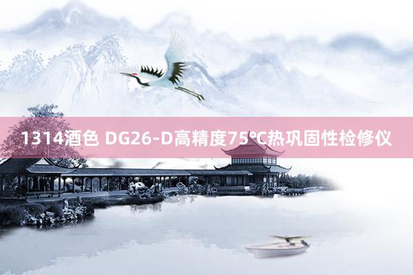 1314酒色 DG26-D高精度75℃热巩固性检修仪