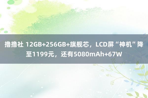 撸撸社 12GB+256GB+旗舰芯，LCD屏“神机”降至1199元，还有5080mAh+67W