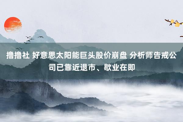 撸撸社 好意思太阳能巨头股价崩盘 分析师告戒公司已靠近退市、歇业在即