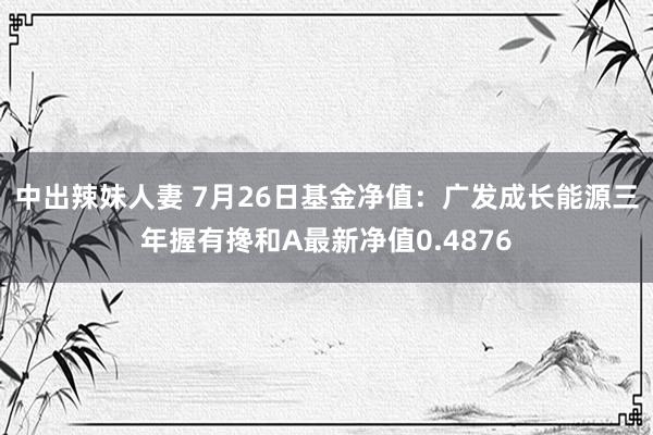 中出辣妹人妻 7月26日基金净值：广发成长能源三年握有搀和A最新净值0.4876