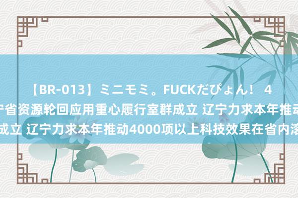 【BR-013】ミニモミ。FUCKだぴょん！ 4ばん 科创辽宁周报：辽宁省资源轮回应用重心履行室群成立 辽宁力求本年推动4000项以上科技效果在省内滚动