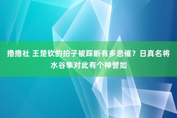 撸撸社 王楚钦的拍子被踩断有多悲催？日真名将水谷隼对此有个神譬如