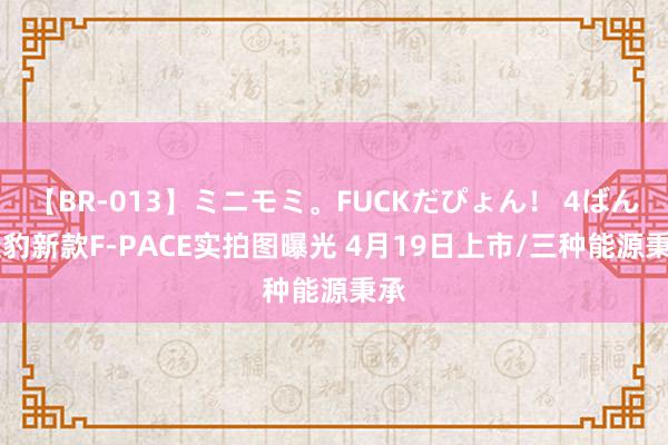 【BR-013】ミニモミ。FUCKだぴょん！ 4ばん 捷豹新款F-PACE实拍图曝光 4月19日上市/三种能源秉承