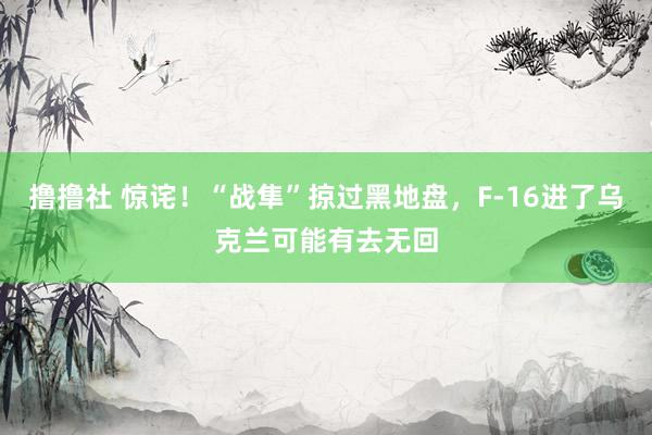 撸撸社 惊诧！“战隼”掠过黑地盘，F-16进了乌克兰可能有去无回