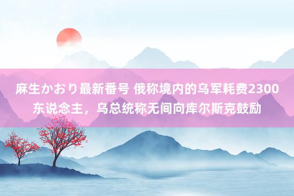 麻生かおり最新番号 俄称境内的乌军耗费2300东说念主，乌总统称无间向库尔斯克鼓励