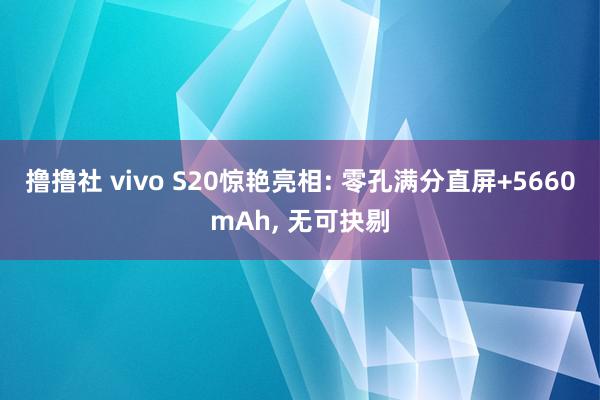 撸撸社 vivo S20惊艳亮相: 零孔满分直屏+5660mAh, 无可抉剔