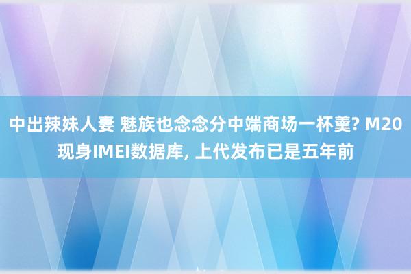 中出辣妹人妻 魅族也念念分中端商场一杯羹? M20现身IMEI数据库, 上代发布已是五年前