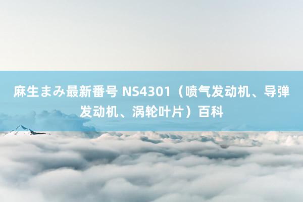 麻生まみ最新番号 NS4301（喷气发动机、导弹发动机、涡轮叶片）百科