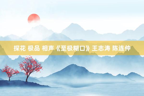 探花 极品 相声《至极糊口》王志涛 陈连仲